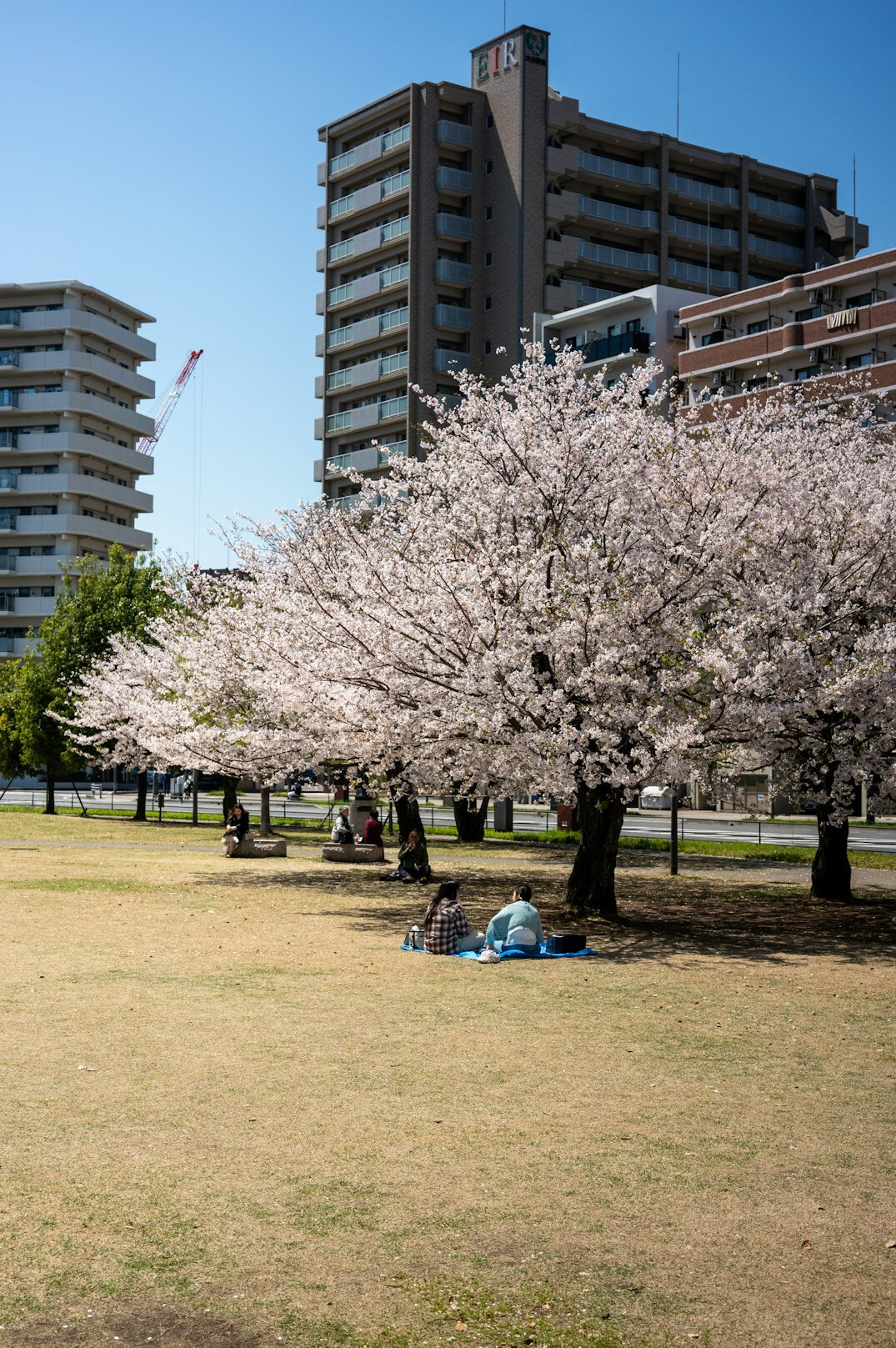 people sitting in city park