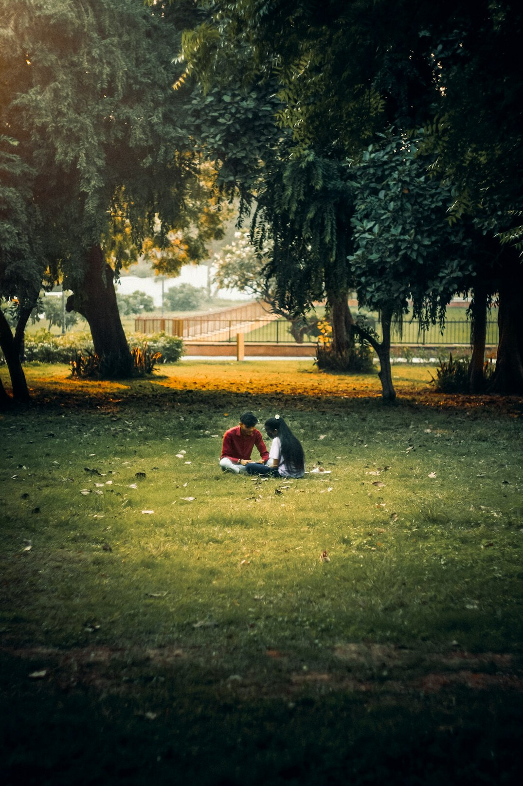 people sitting on park bench
