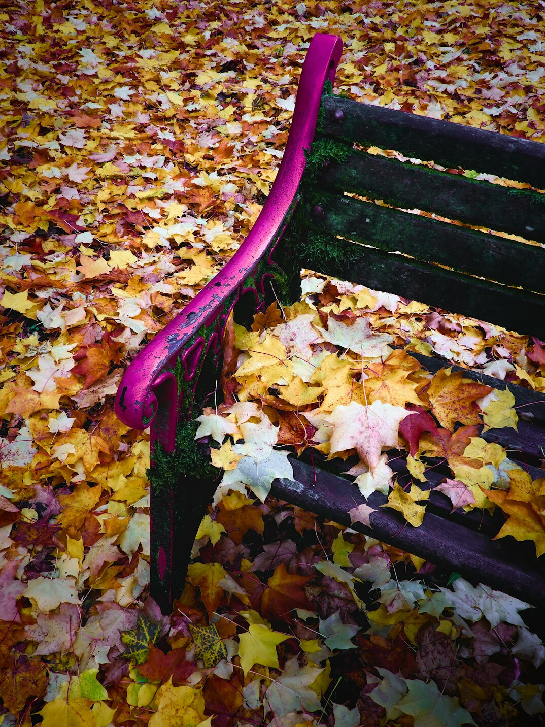 elderly person sitting on bench