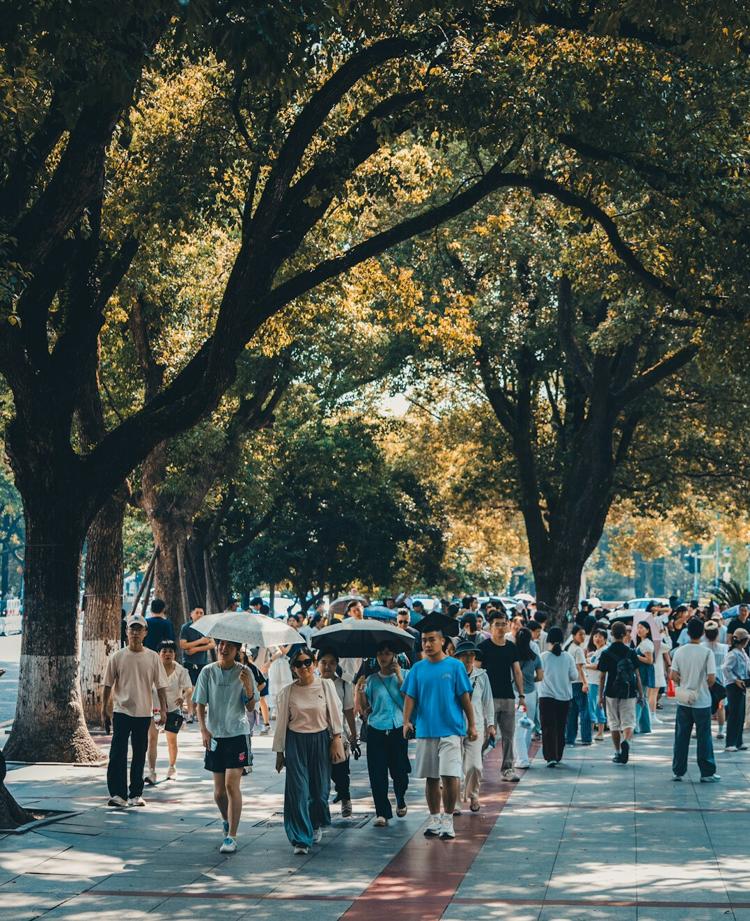 crowd of people on city sidewalk