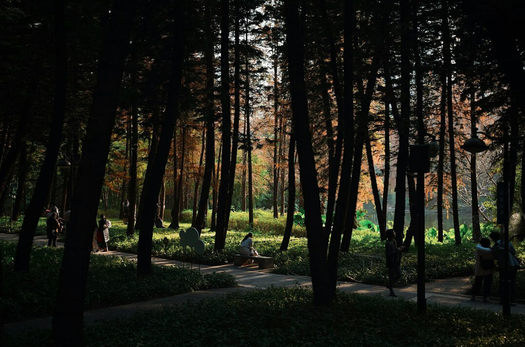 people sitting on park bench